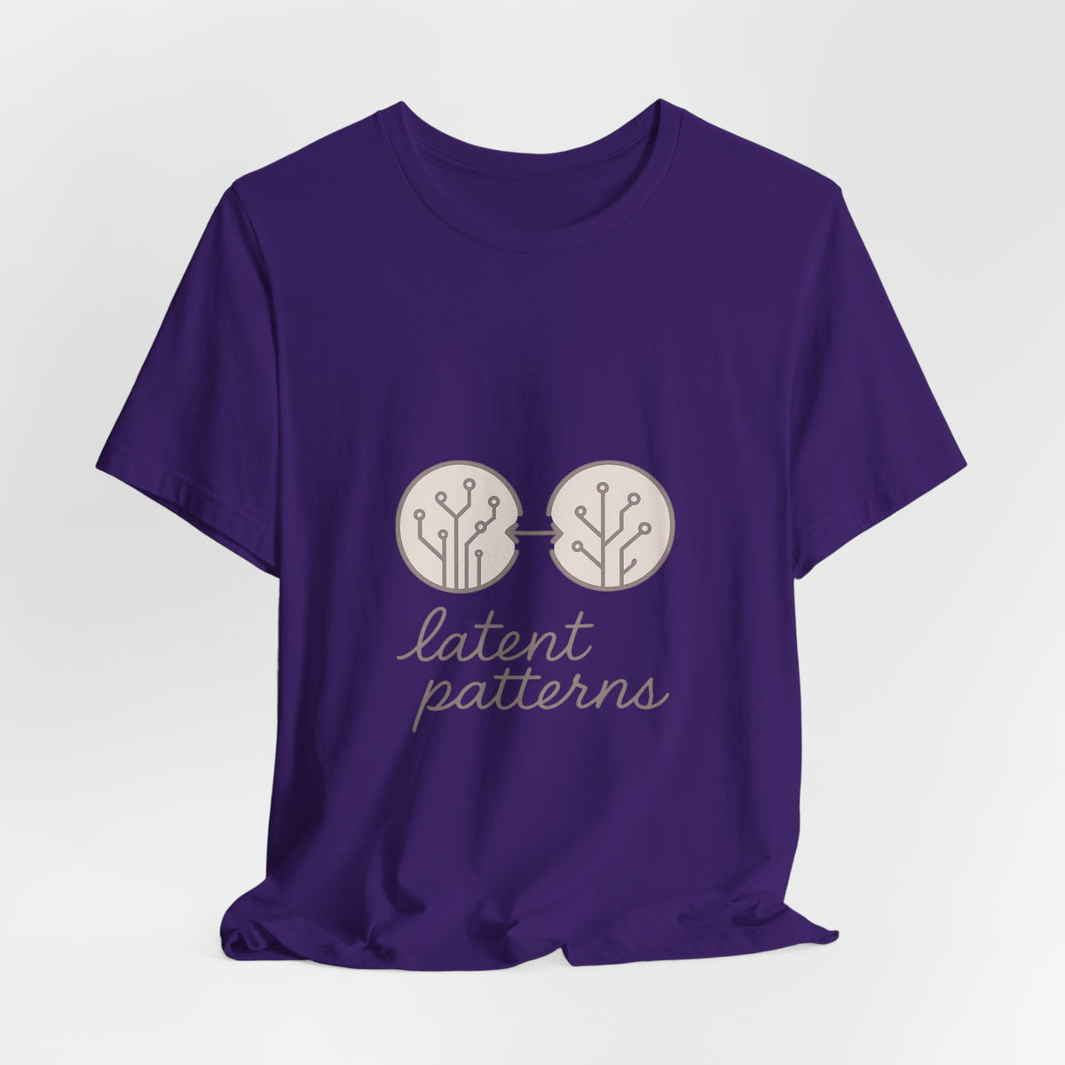 Data Scientist T-Shirt – Bella Canvas Jersey Tee | Minimalist & Feminine Aesthetic