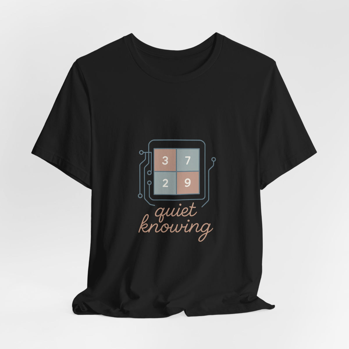 Data Scientist T-Shirt – Bella Canvas Jersey Tee | Minimalist Aesthetic For Analysts