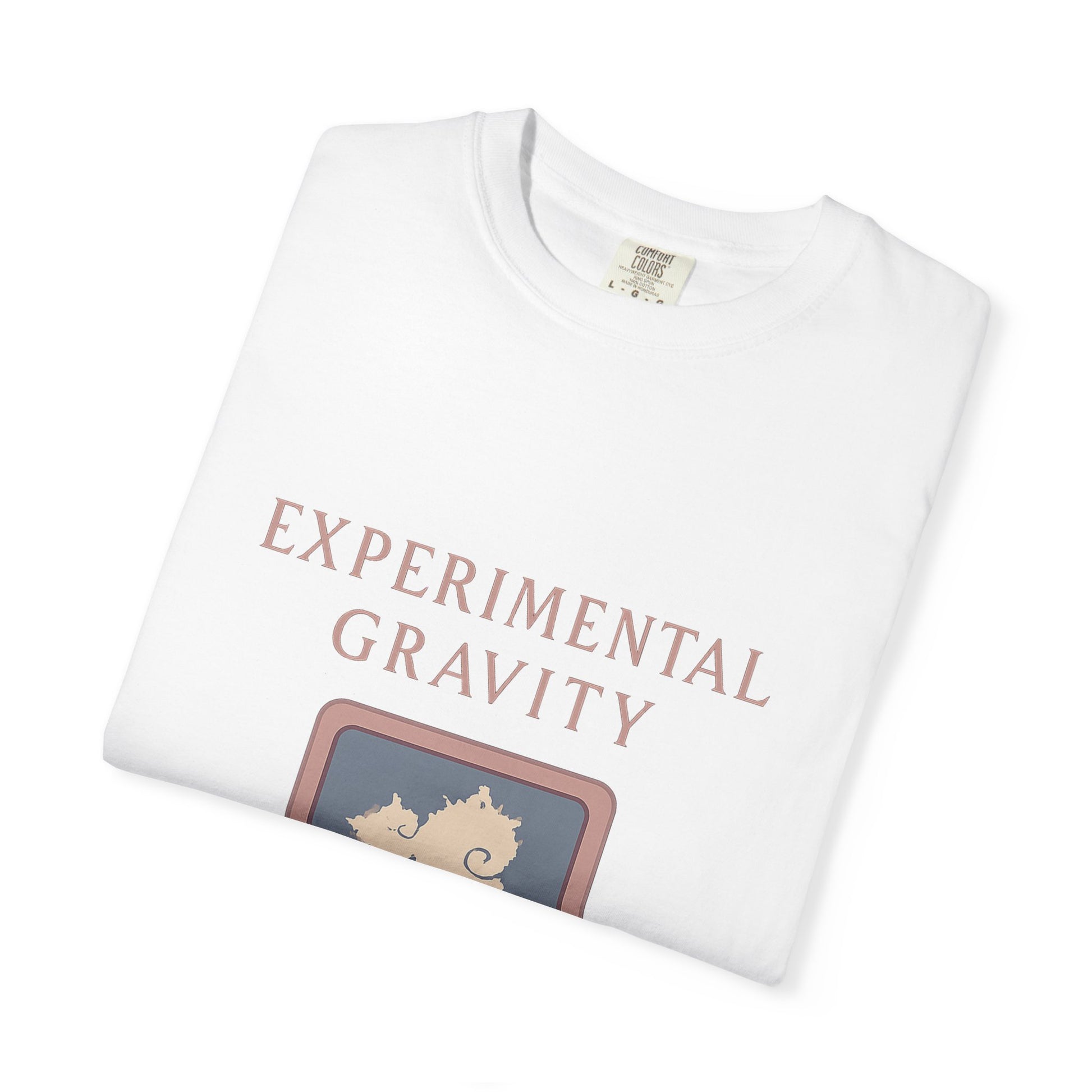 Physicist T-Shirt – Vintage-Wash Comfort Garment-Dyed Tee | LM Apparel – product photo 9
