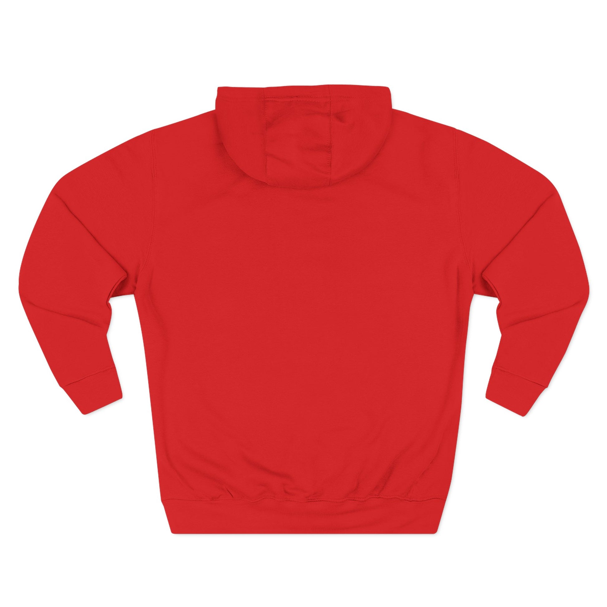Data Scientist Hoodie by LM Apparel – product photo 18