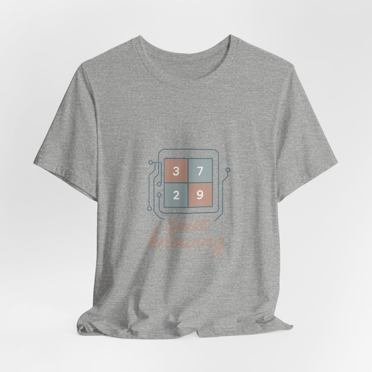 Data Scientist T-Shirt – Bella Canvas Jersey Tee | Minimalist Aesthetic For Analysts