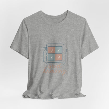 Data Scientist T-Shirt – Bella Canvas Jersey Tee | Minimalist Aesthetic For Analysts
