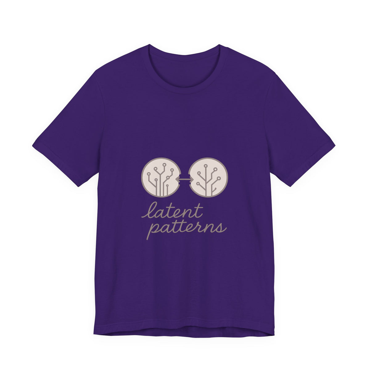 Data Scientist T-Shirt – Bella Canvas Jersey Tee | Minimalist & Feminine Aesthetic