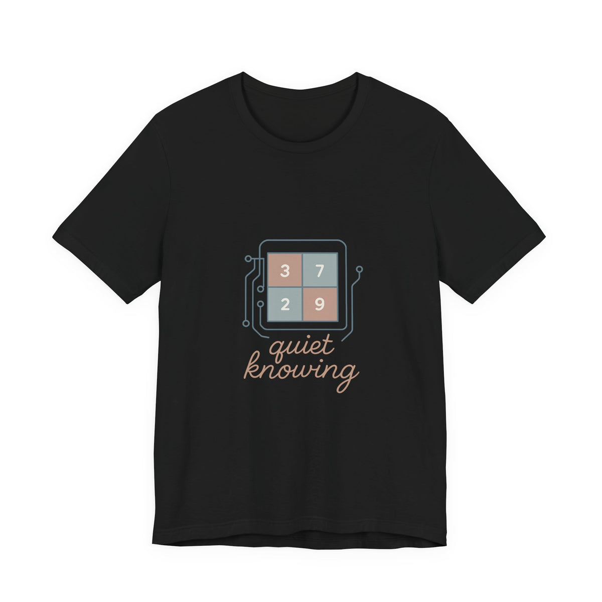 Data Scientist T-Shirt – Bella Canvas Jersey Tee | Minimalist Aesthetic For Analysts