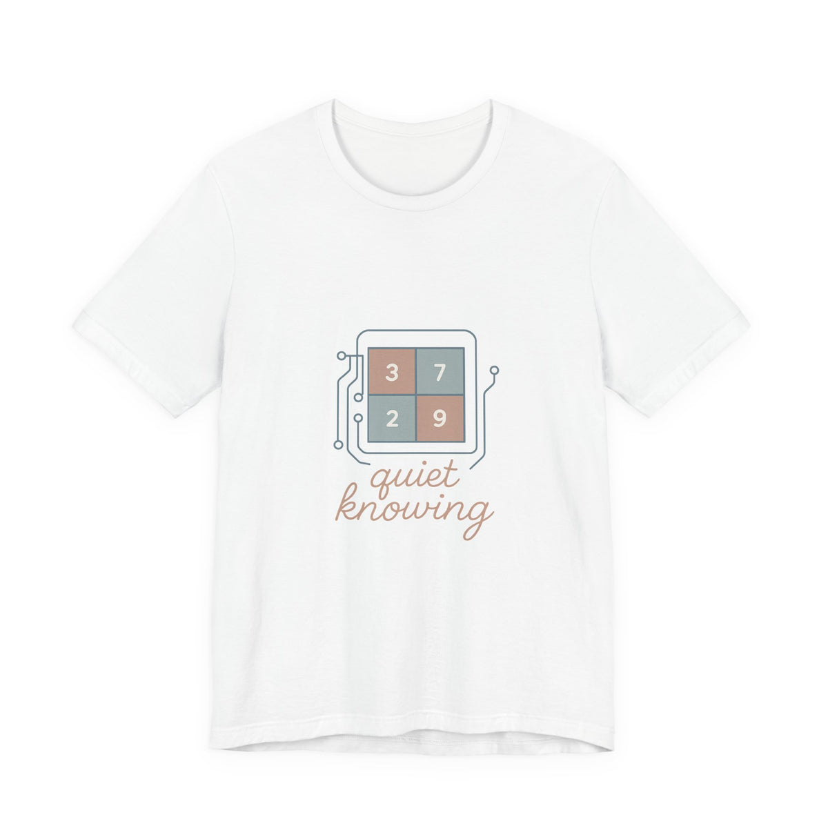 Data Scientist T-Shirt – Bella Canvas Jersey Tee | Minimalist Aesthetic For Analysts