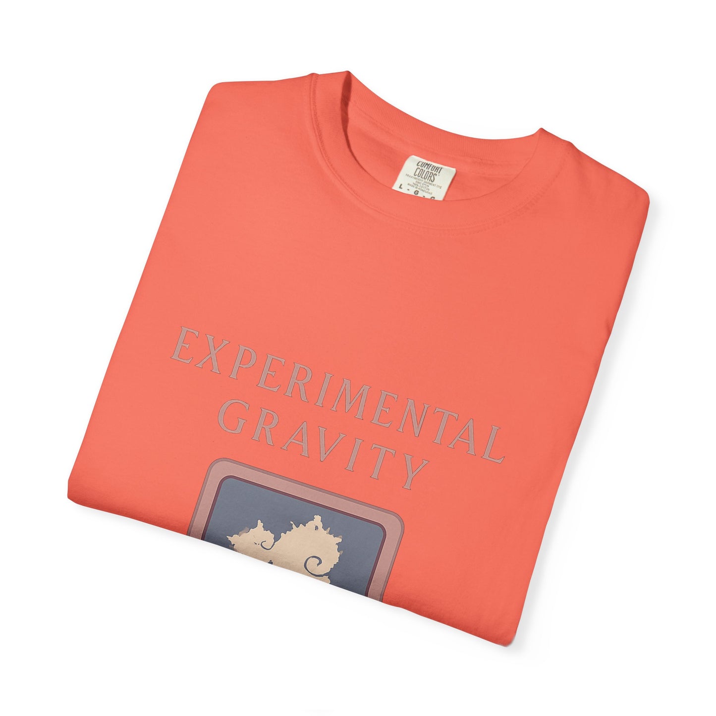 Physicist T-Shirt – Vintage-Wash Comfort Garment-Dyed Tee for Men & Women | Physicist Gift