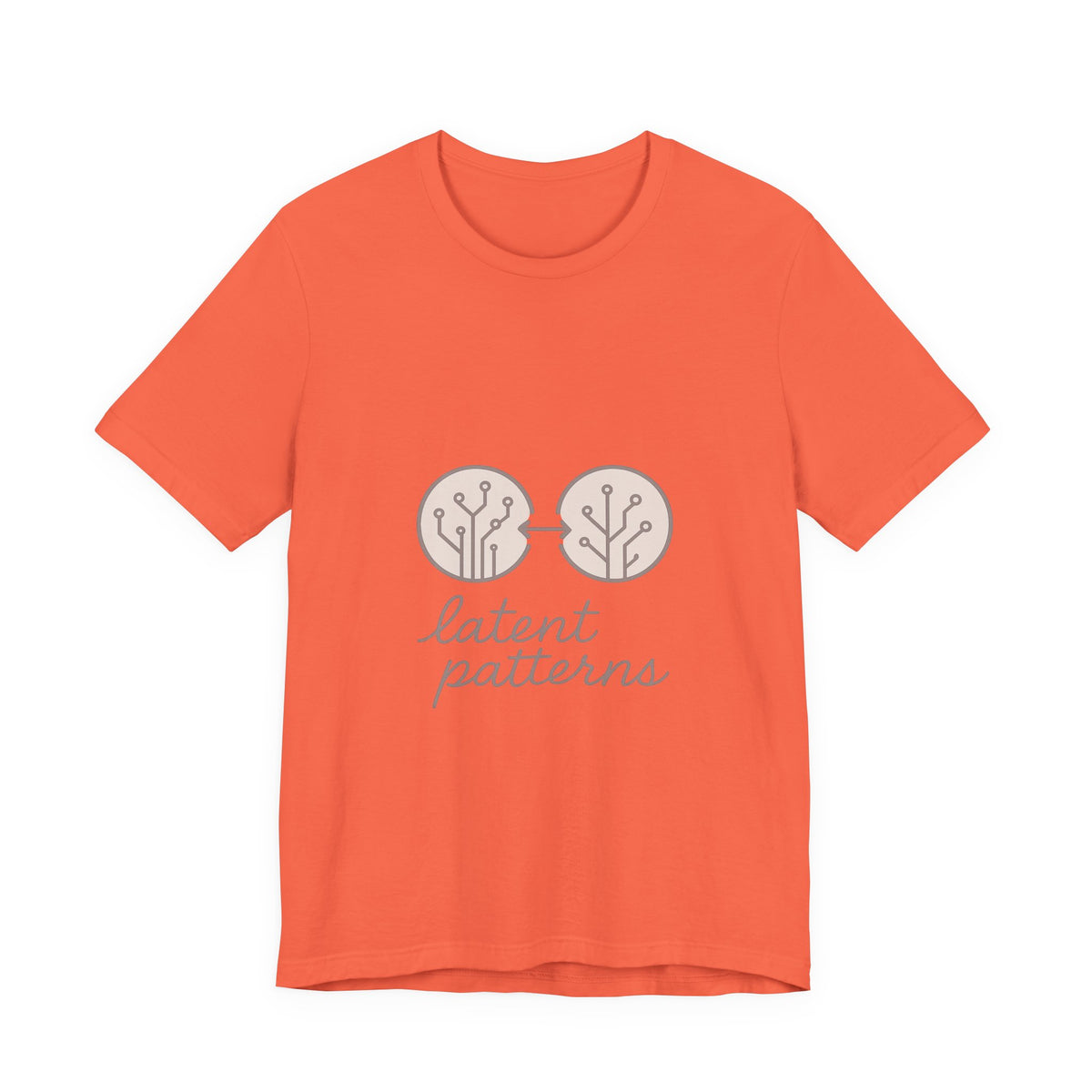 Data Scientist T-Shirt – Bella Canvas Jersey Tee | Minimalist & Feminine Aesthetic